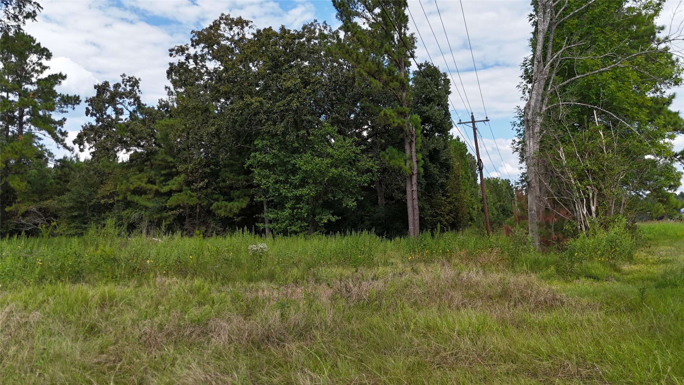 Livingston, TX 77351,4769 Us-59