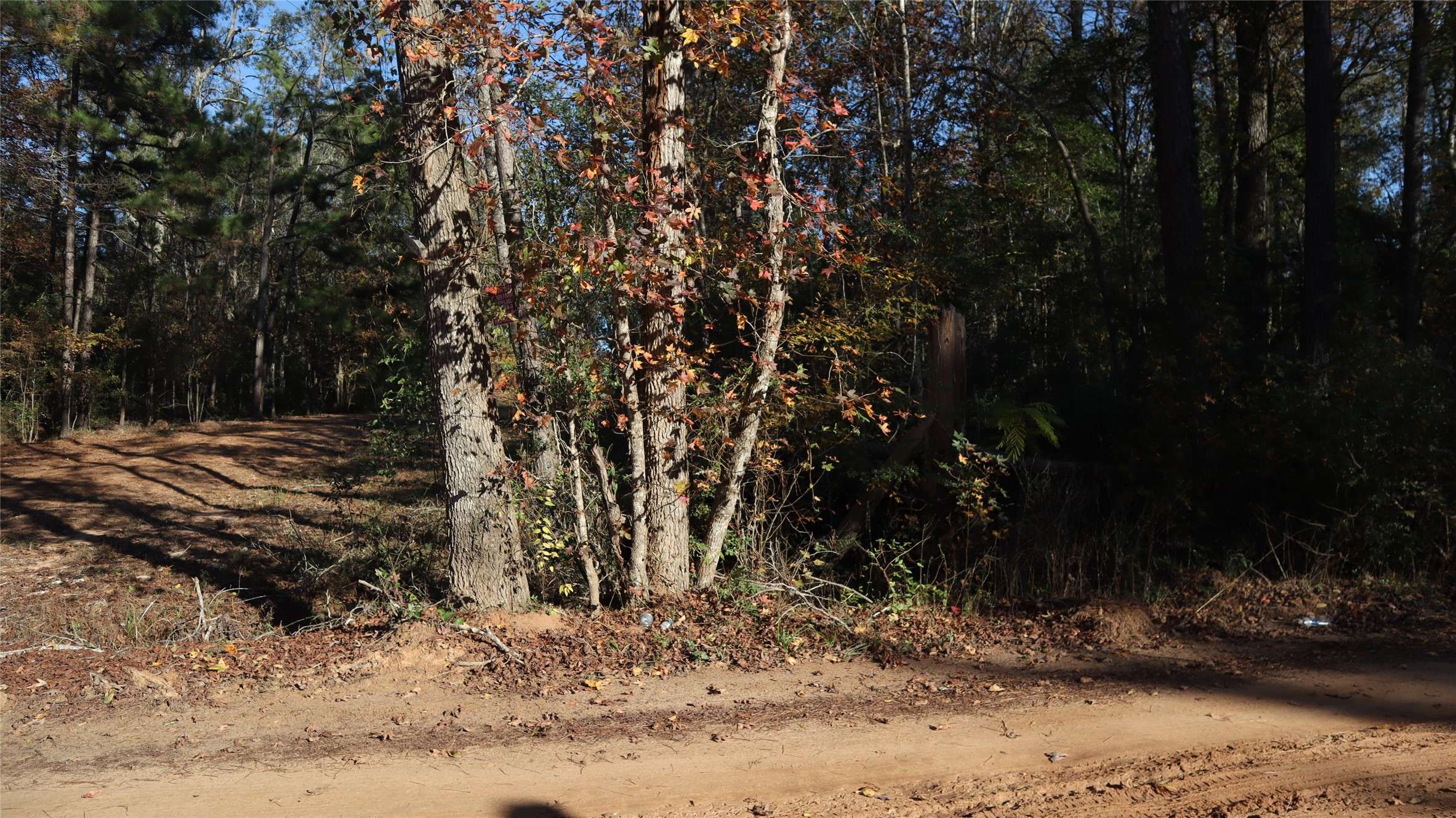 Coldspring, TX 77331,0 Pin Tail