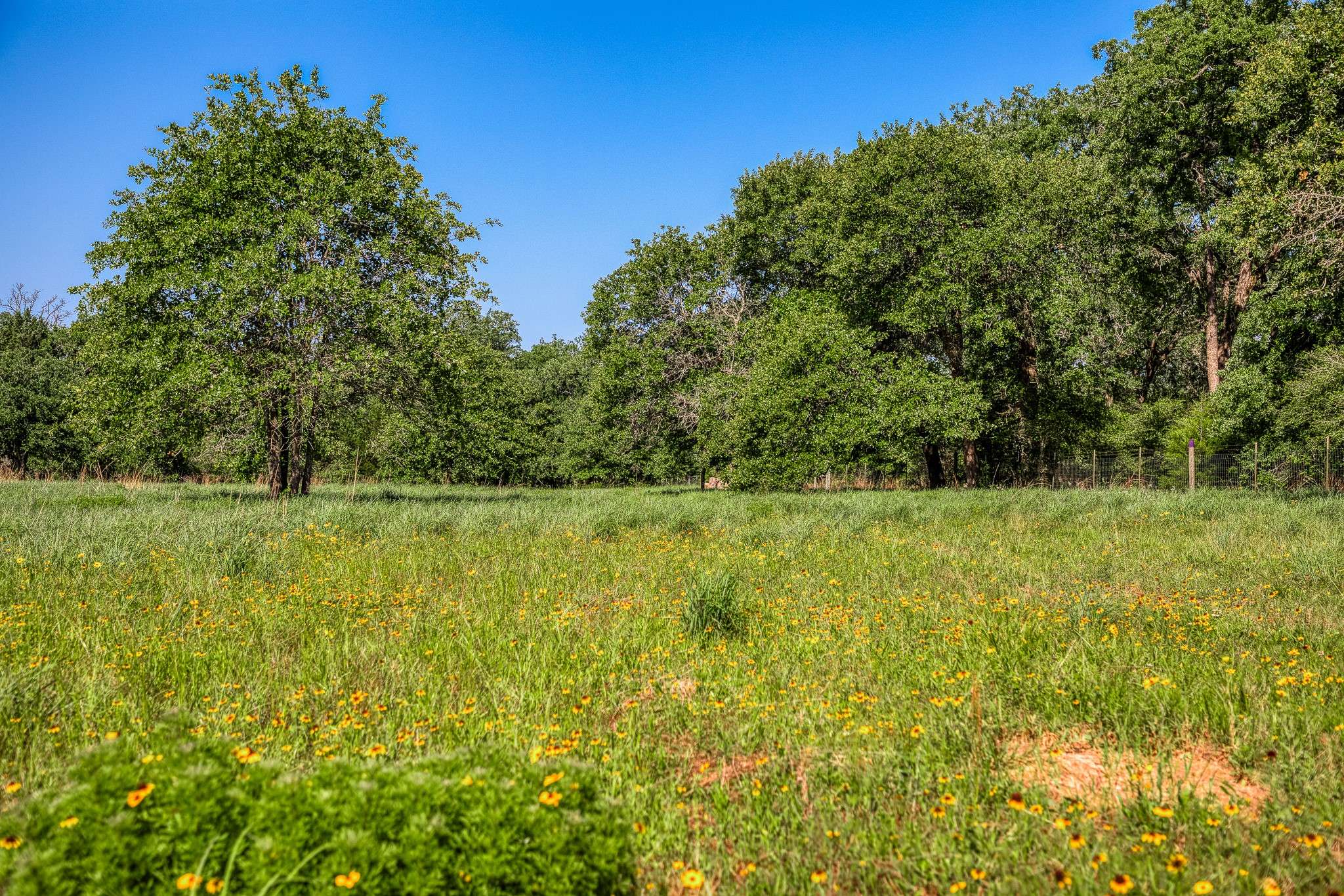 Lexington, TX 78947,1012 CR 438