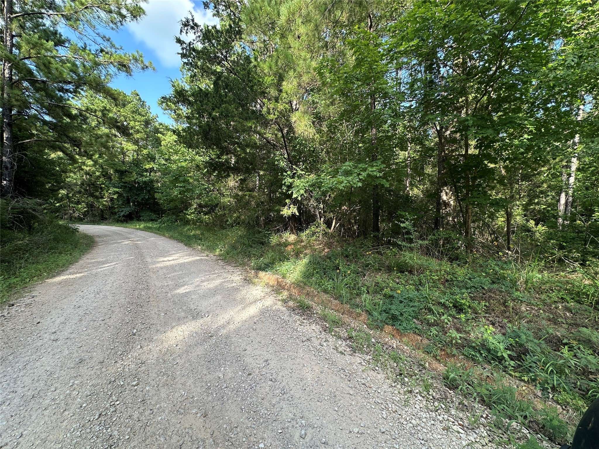 Livingston, TX 77351,TBD Dickens LOOP