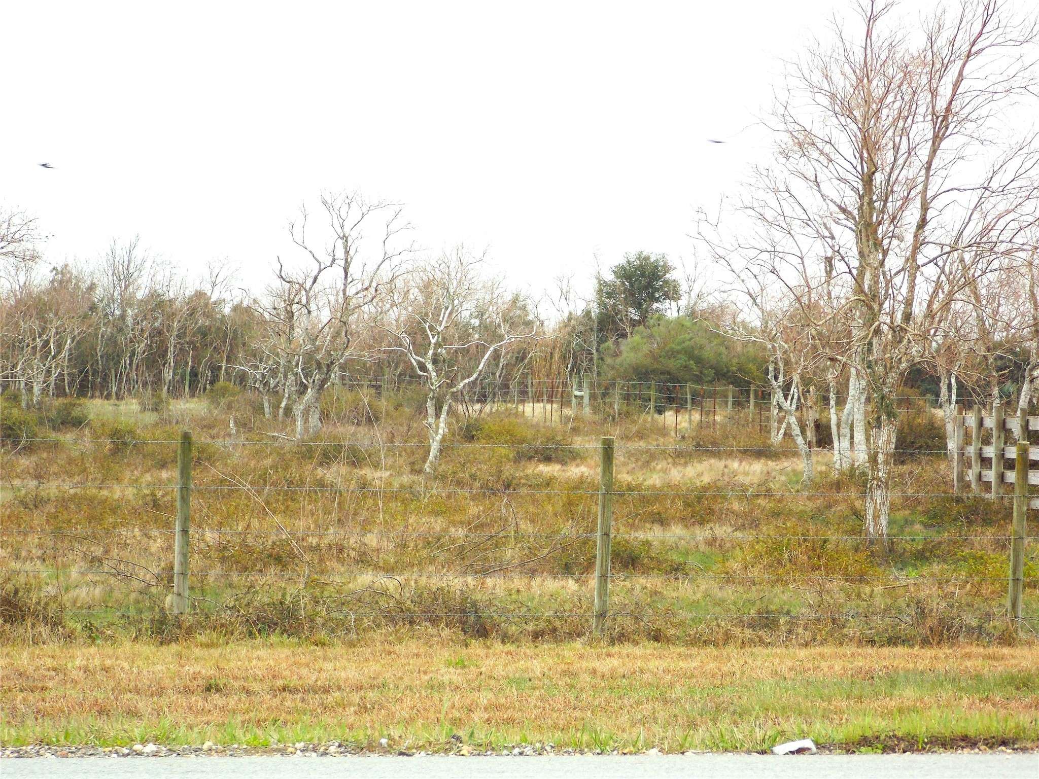 Angleton, TX 77515,00 Fm-2004