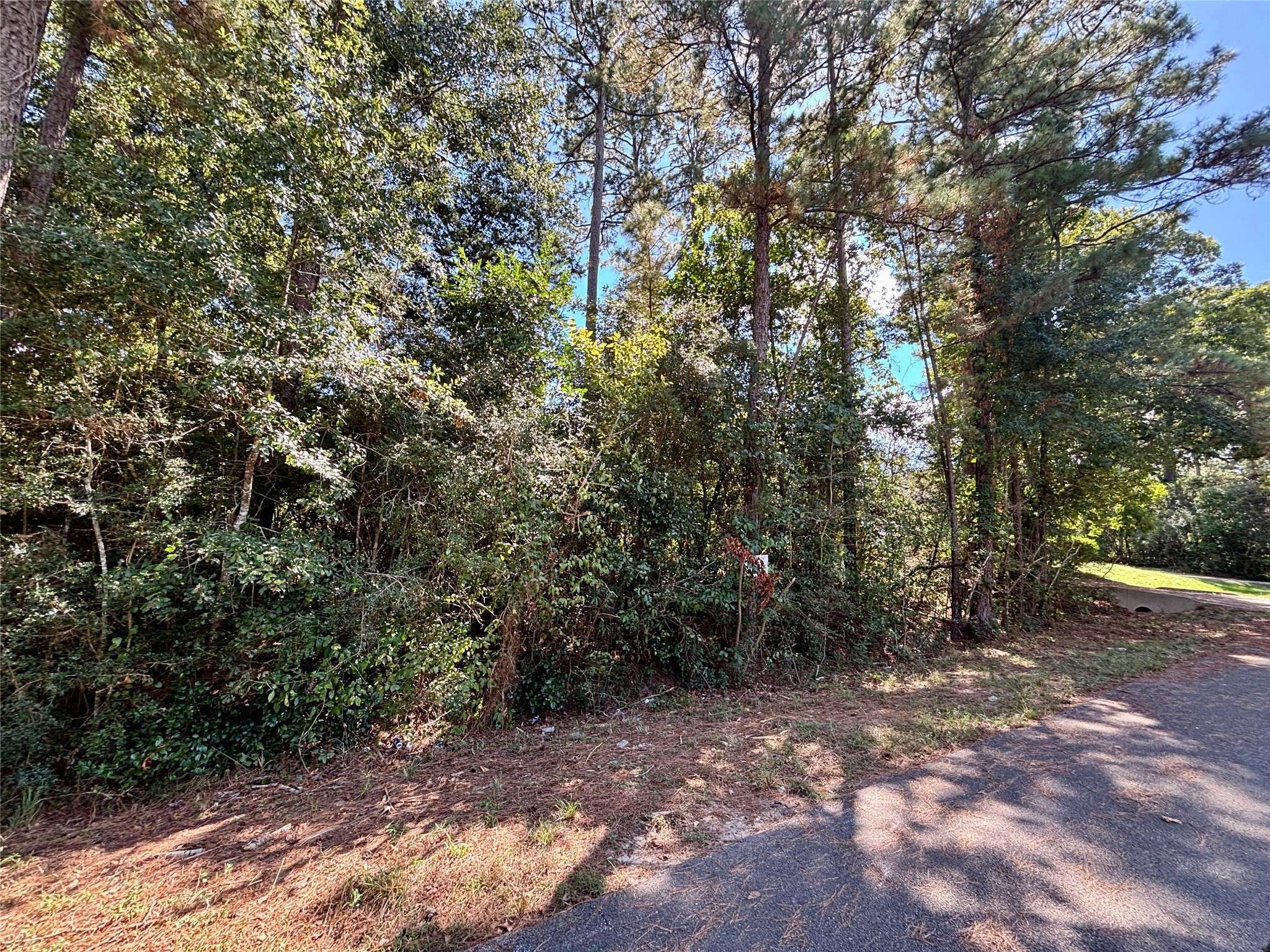 Conroe, TX 77303,LOT 1064 ROYAL PINES DR