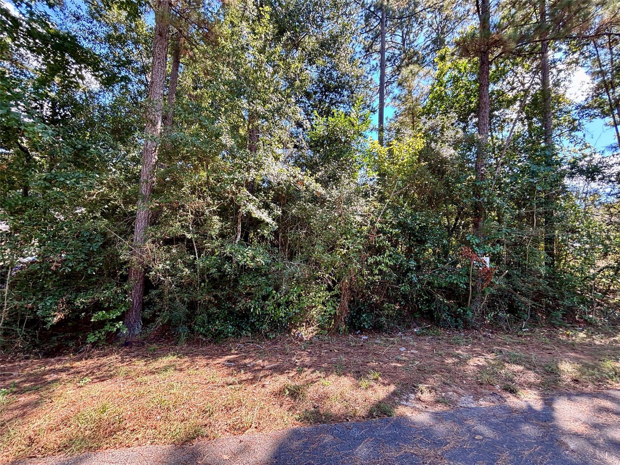 Conroe, TX 77303,LOT 1064 ROYAL PINES DR