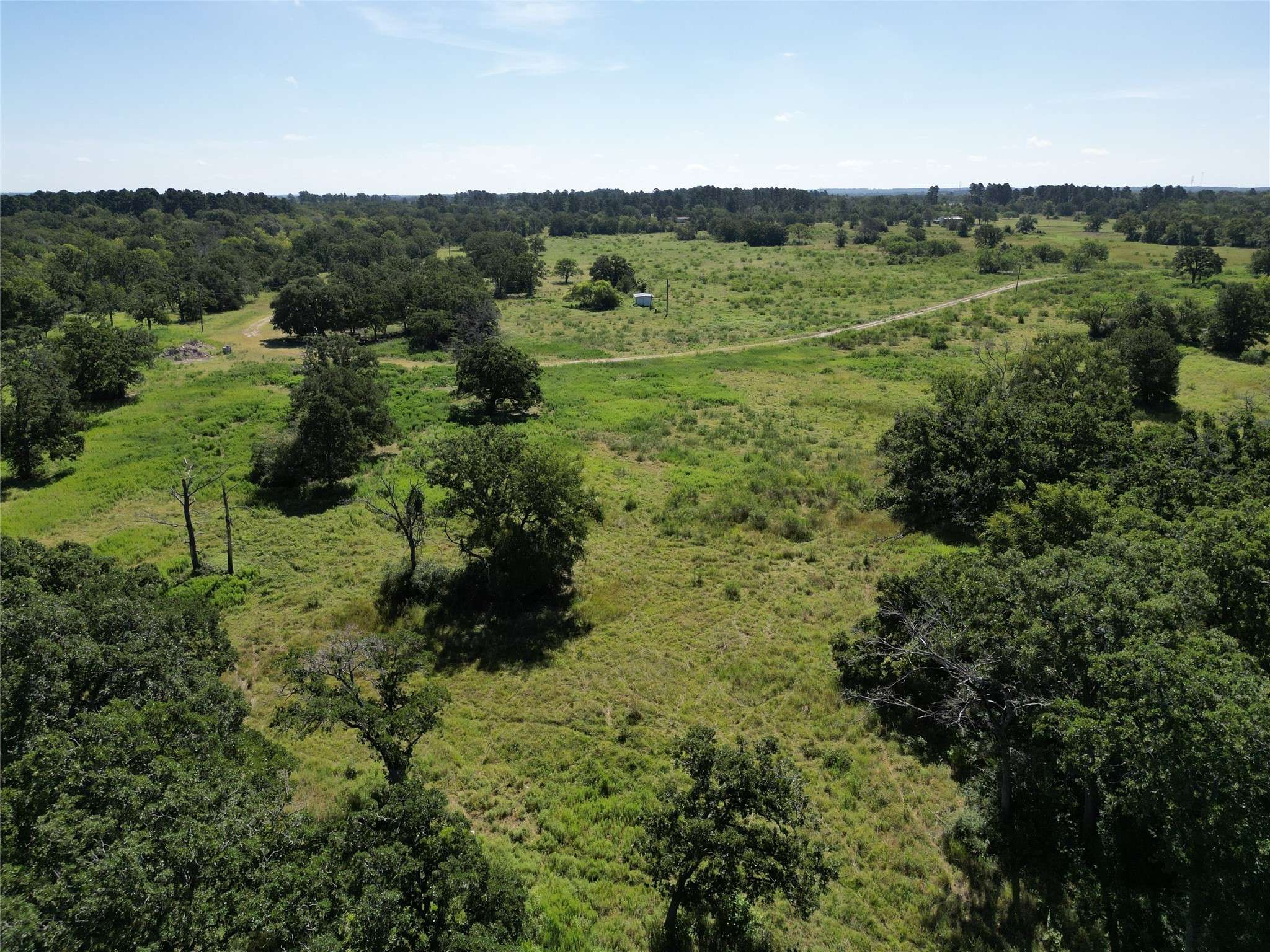 Bedias, TX 77831,14393 County Road 228