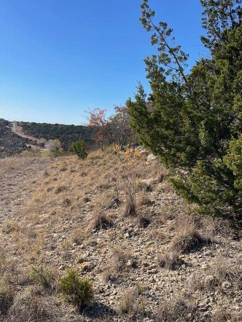 Bluff Dale, TX 76433,3-982 Majestic Shores