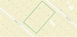 Livingston, TX 77351,350 Wolf RUN