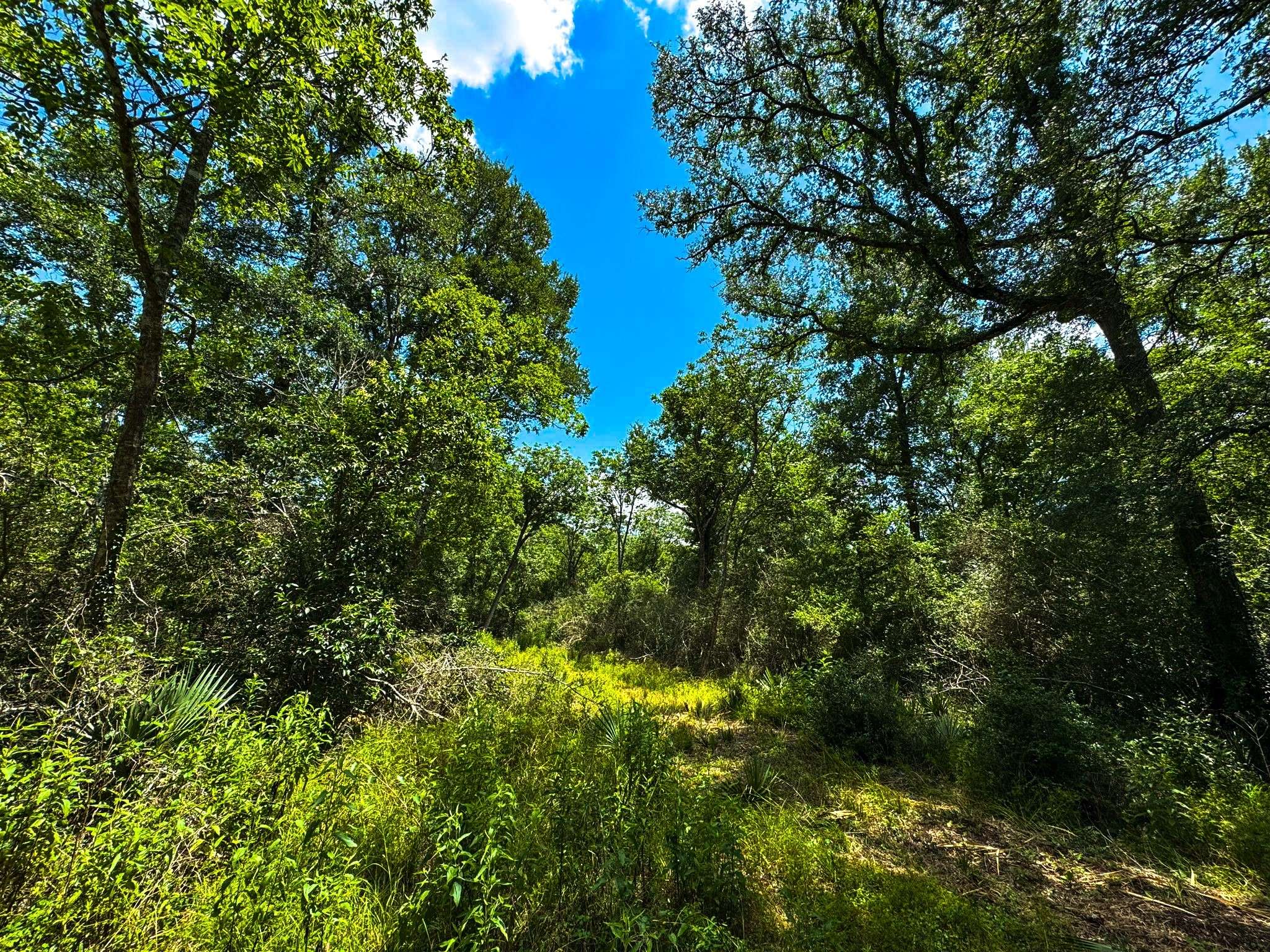 Hungerford, TX 77448,4888 Baldwin DR