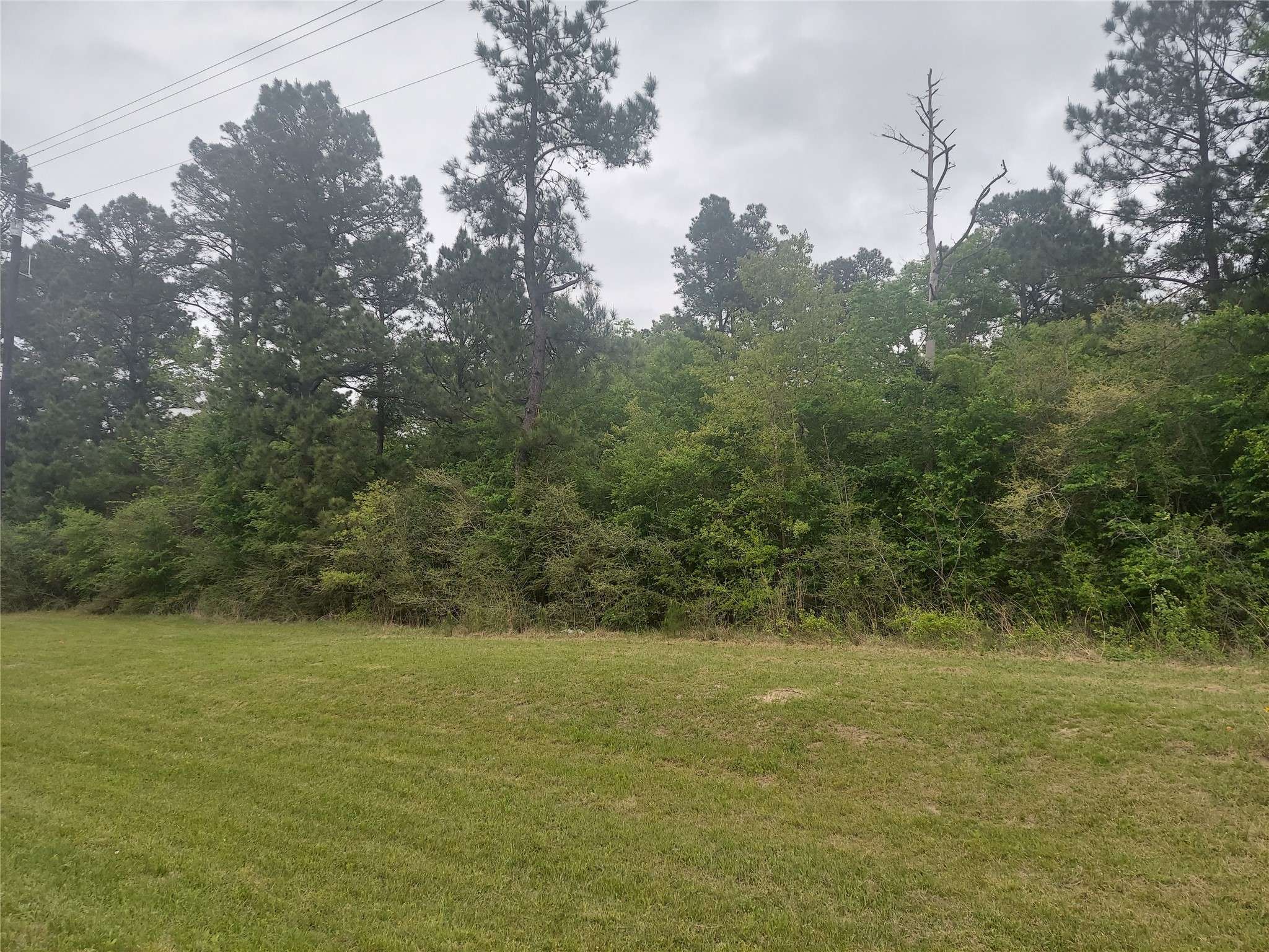 Midway, TX 77320,0 FM 247