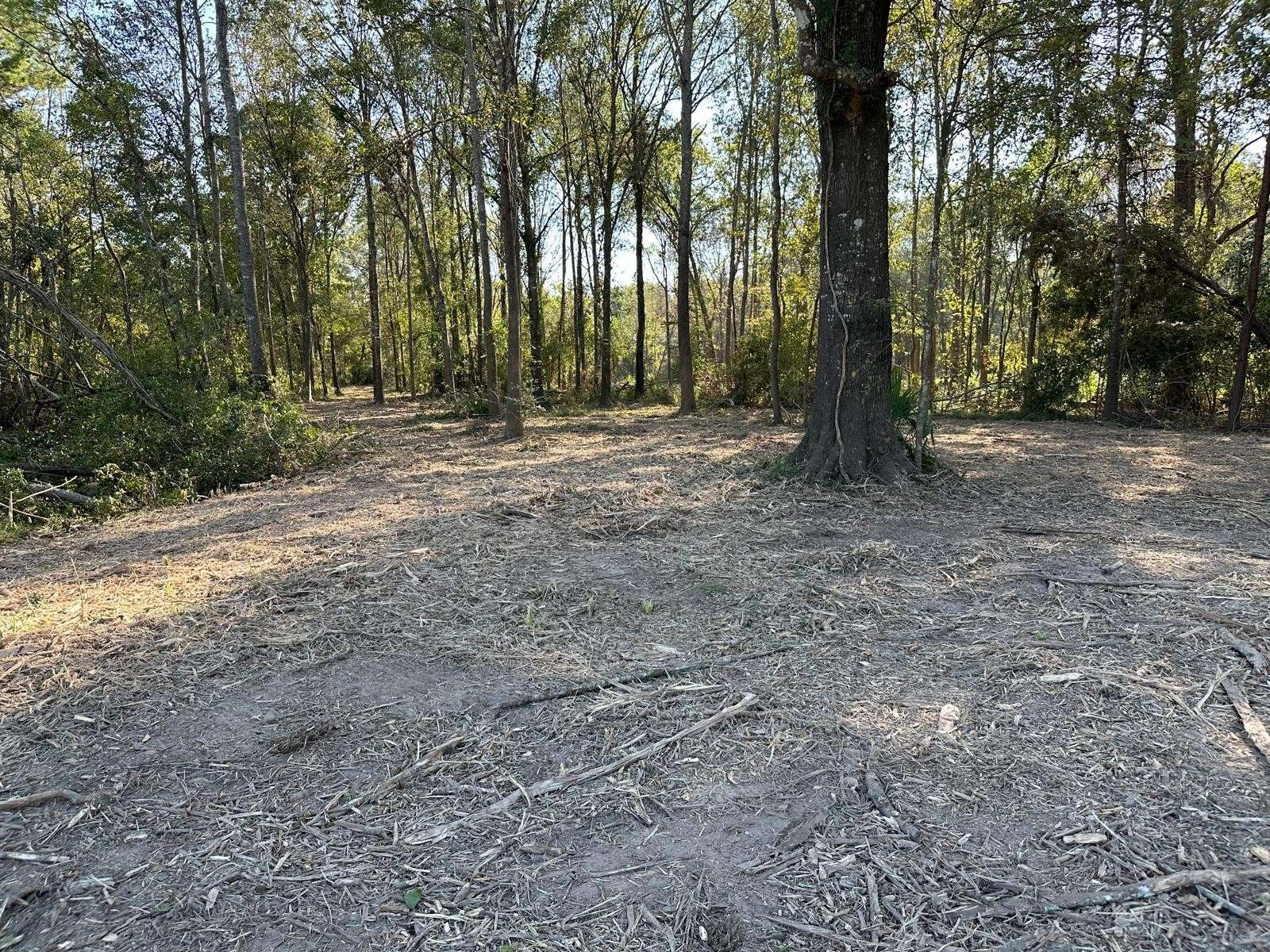 Conroe, TX 77302,10412 Ehlers Road