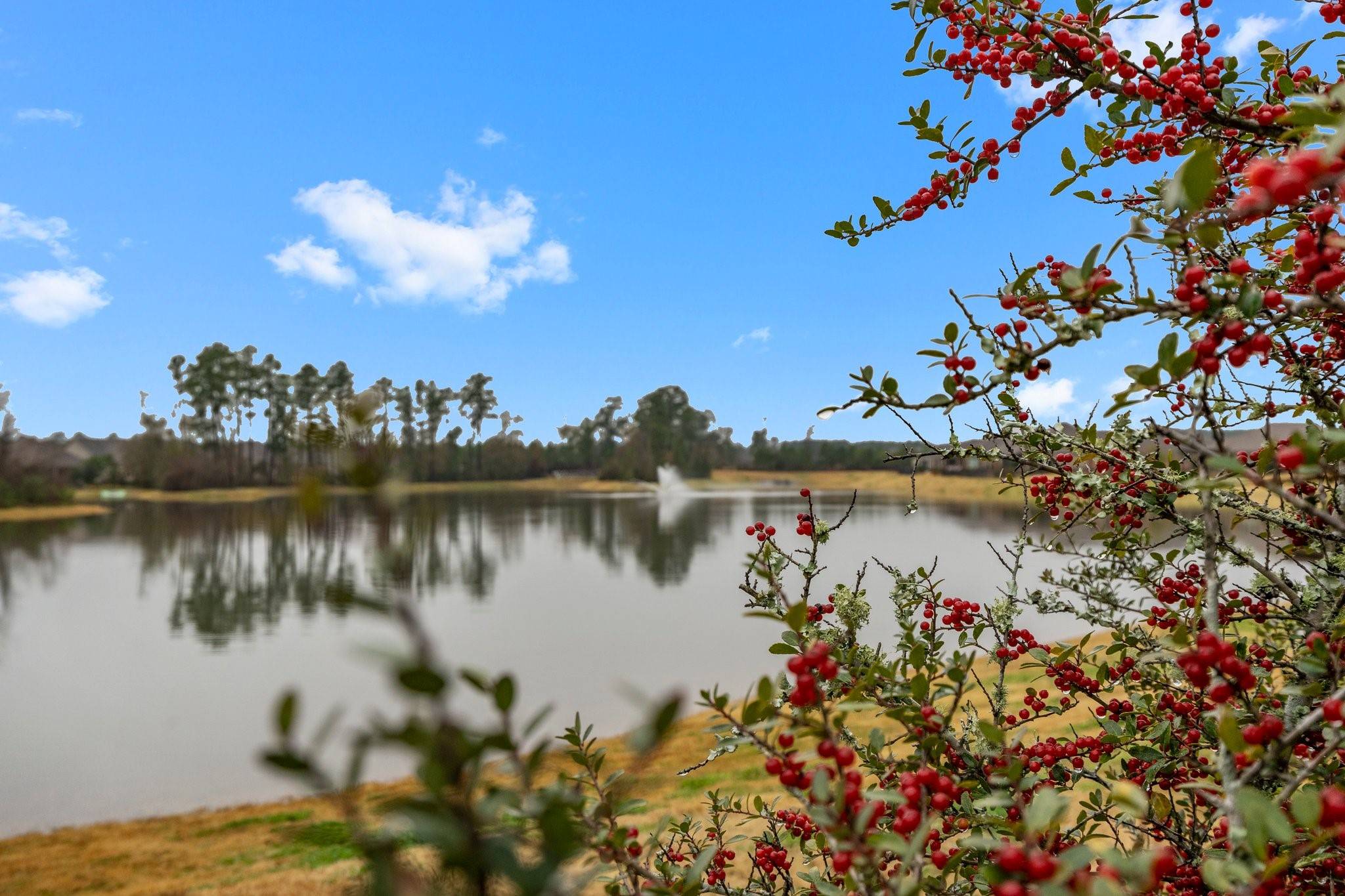 Spring, TX 77382,412 Connemara DR
