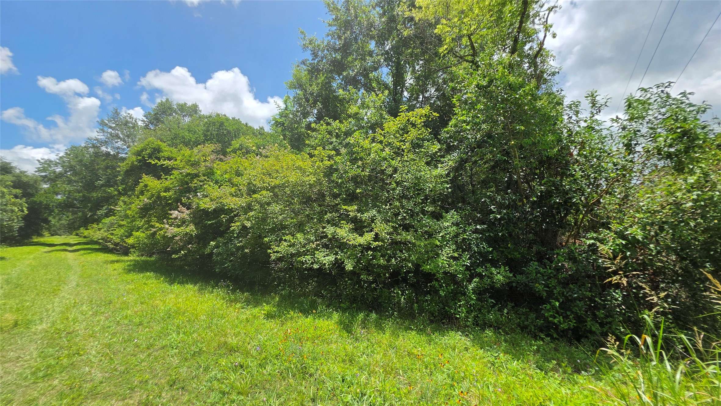 West Columbia, TX 77486,TBD. County Road 825