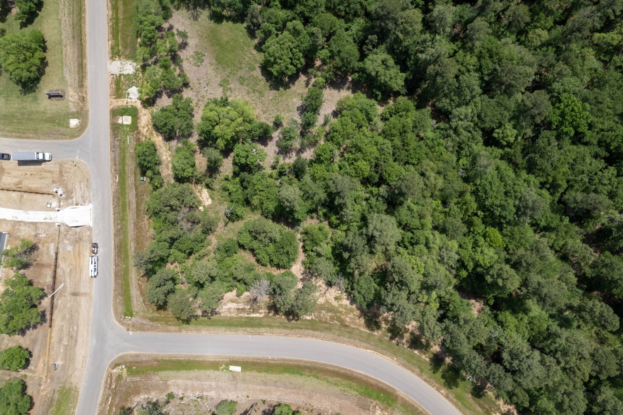Plantersville, TX 77363,9546 Cedar Bend