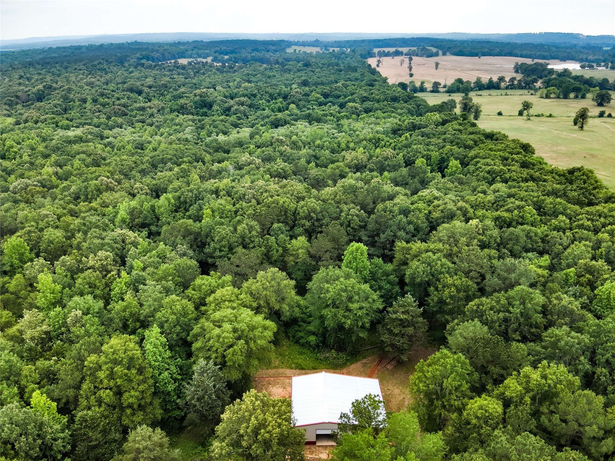 Jacksonville, TX 75766,3936 Fm 22 E