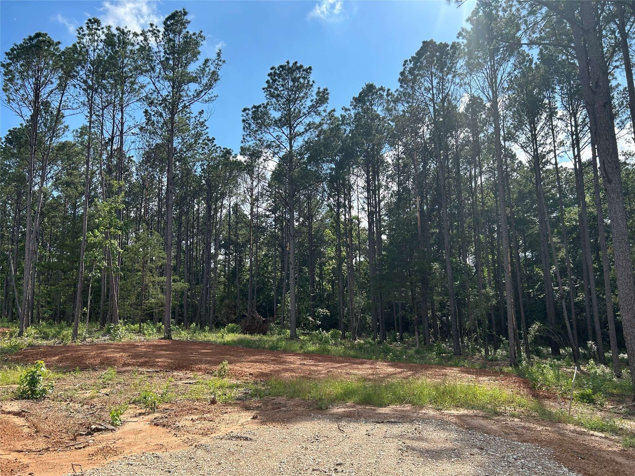 Willis, TX 77378,11339 Annie Creek Drive