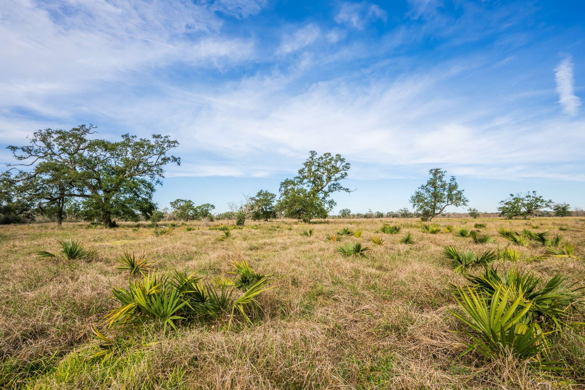 Brazoria, TX 77422,19329 County Road 319
