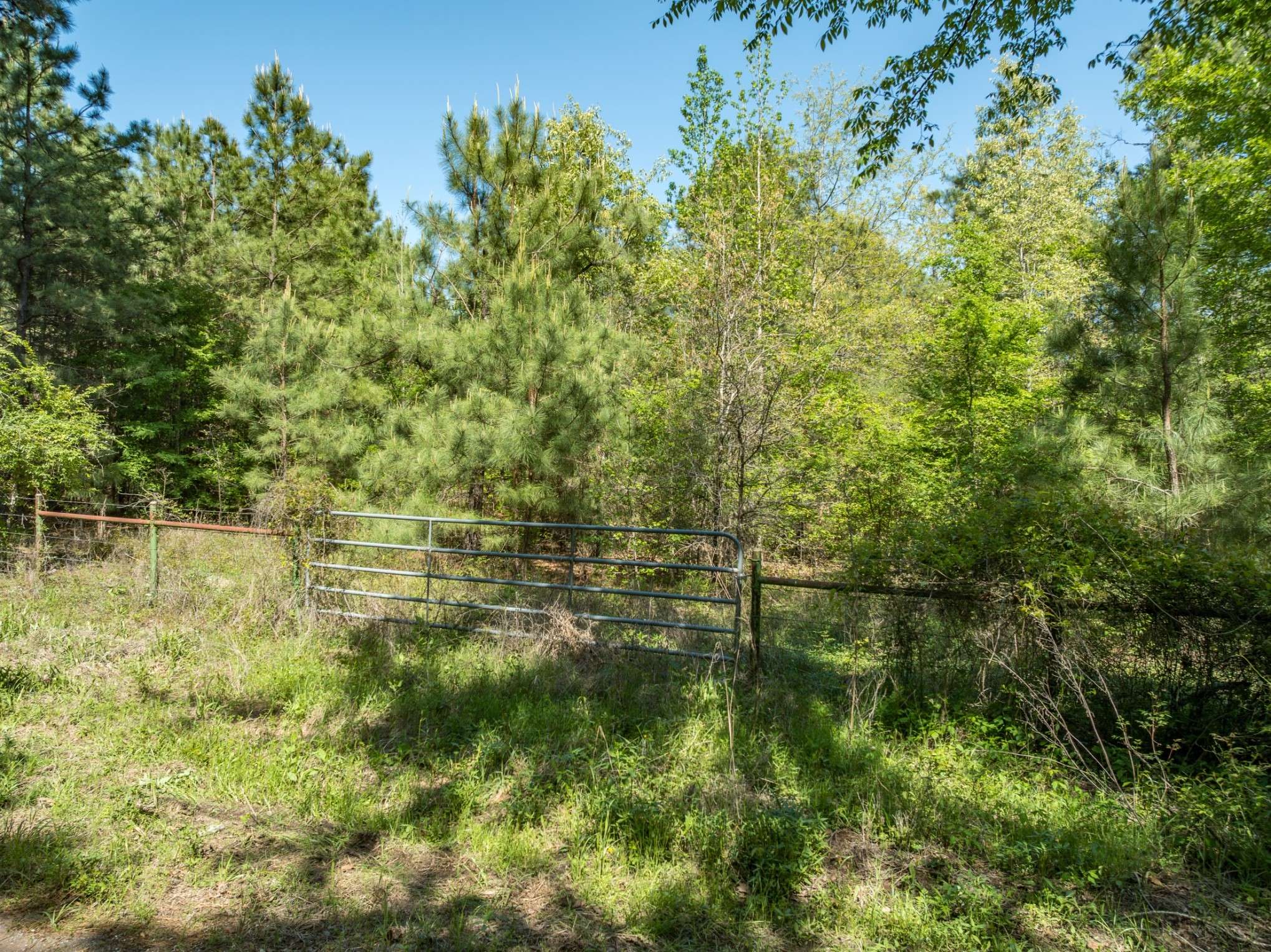 Chandler, TX 75758,0 County Road 3414