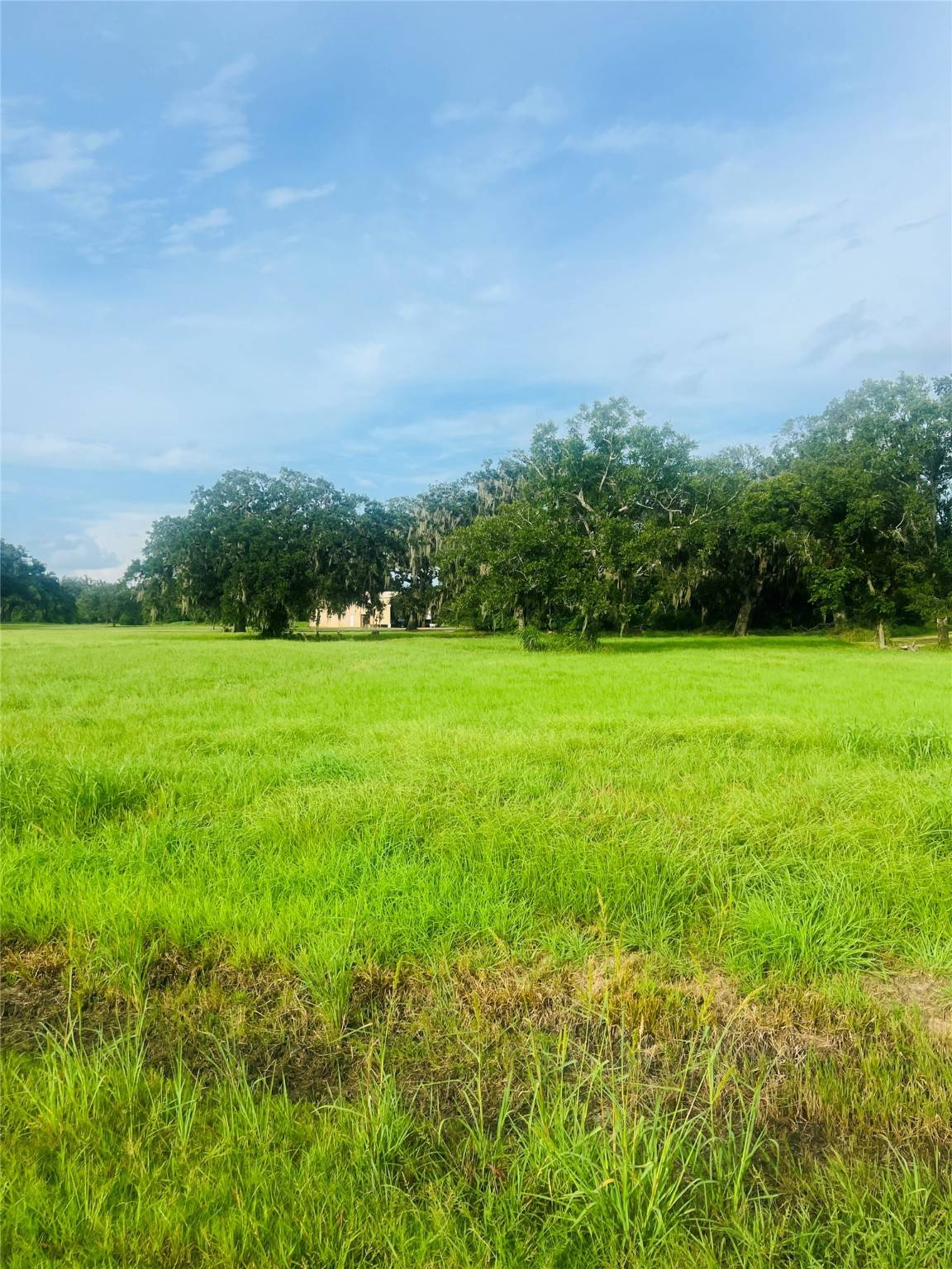 Angleton, TX 77515,TBD Wrangler BND