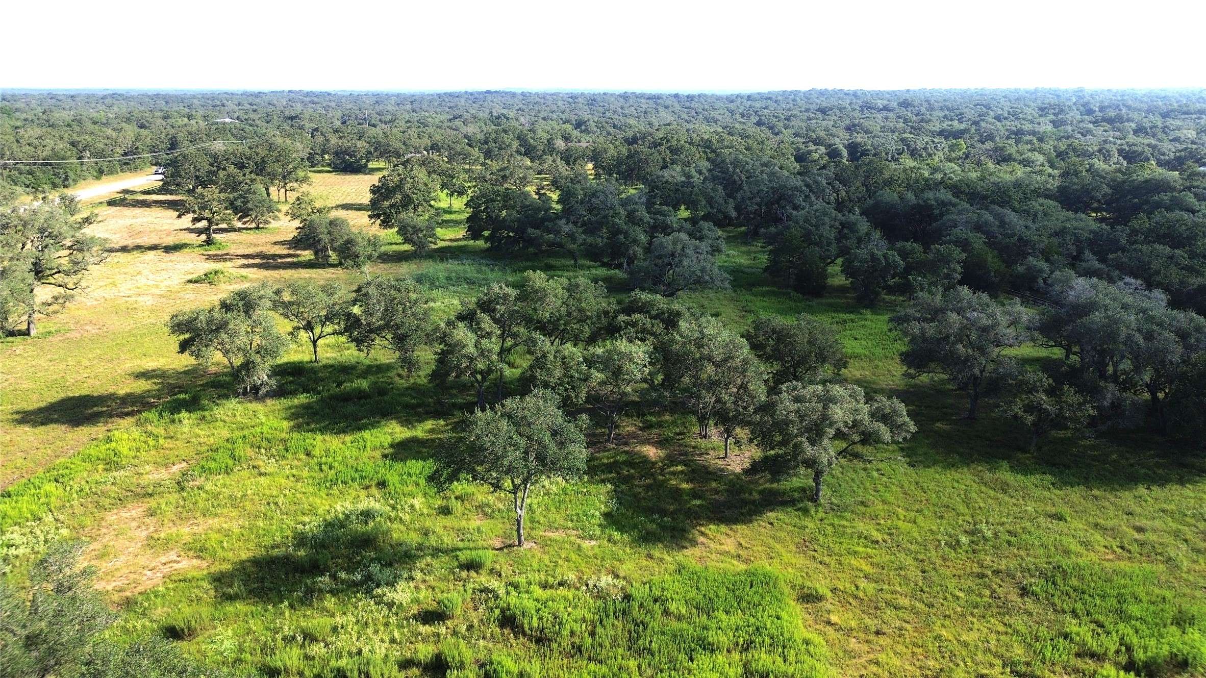 Weimar, TX 78962,TBD Oakridge RD
