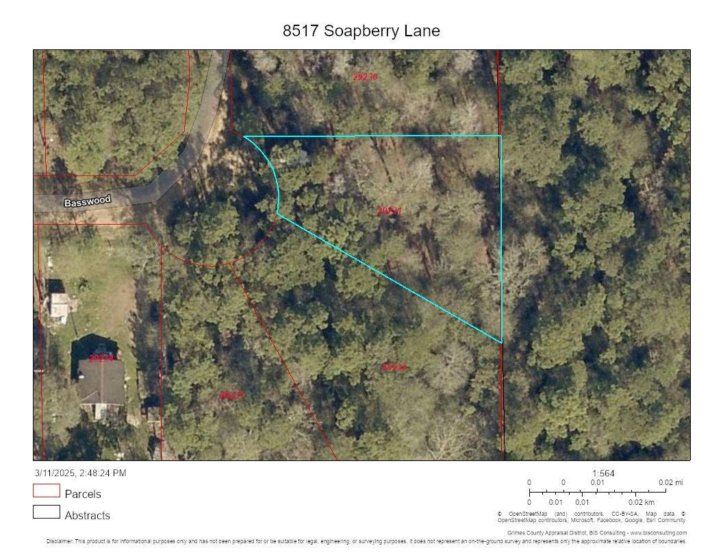 Plantersville, TX 77363,8517 Soapberry LN
