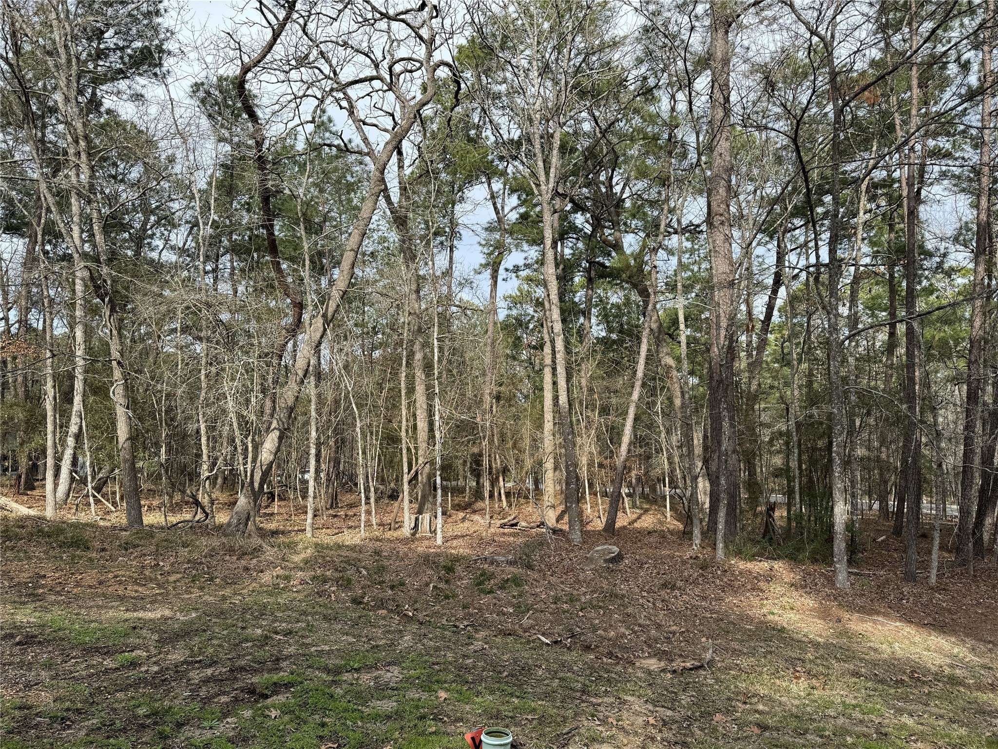 Coldspring, TX 77331,91 S Fairway LOOP