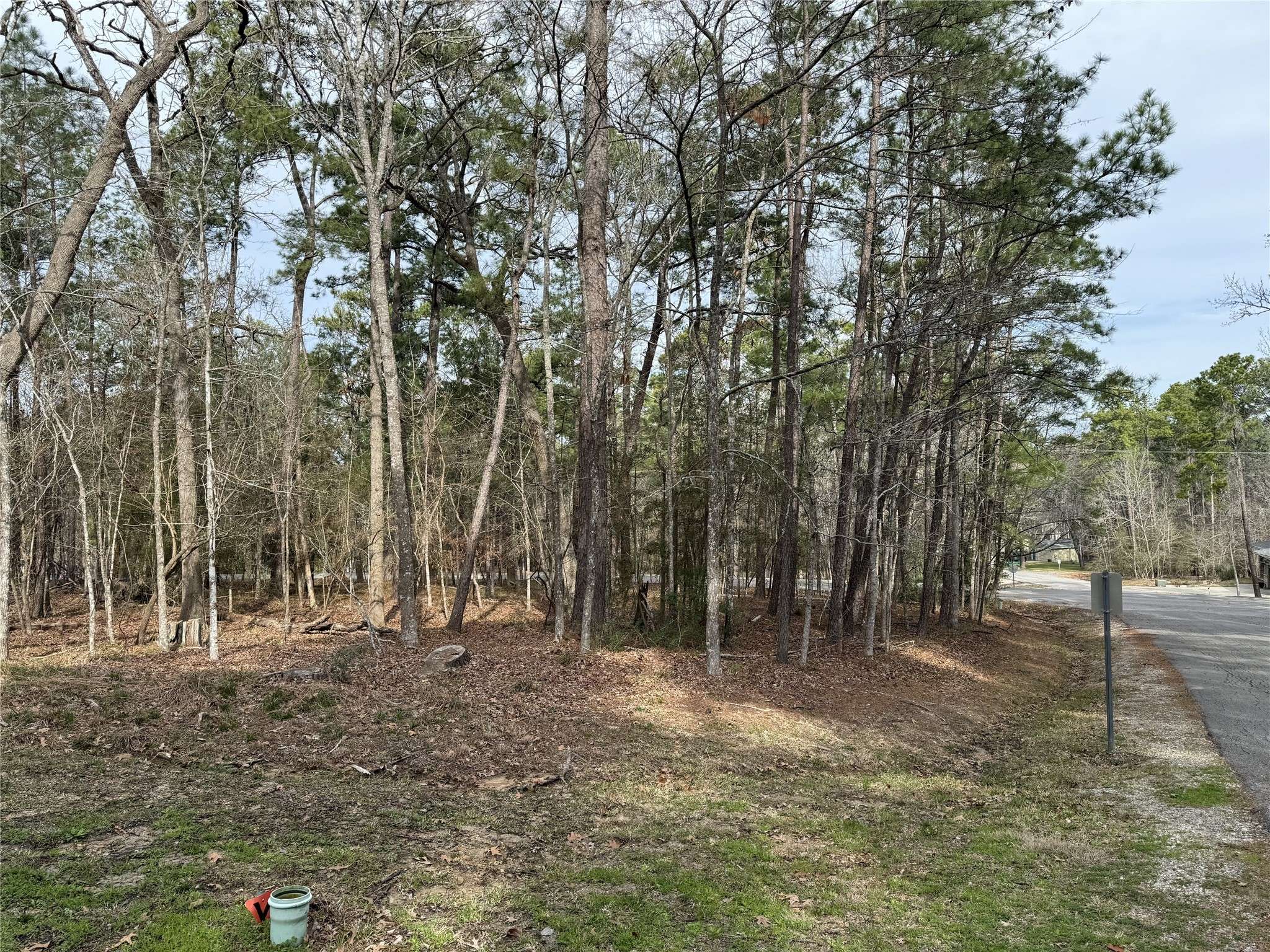 Coldspring, TX 77331,91 S Fairway LOOP