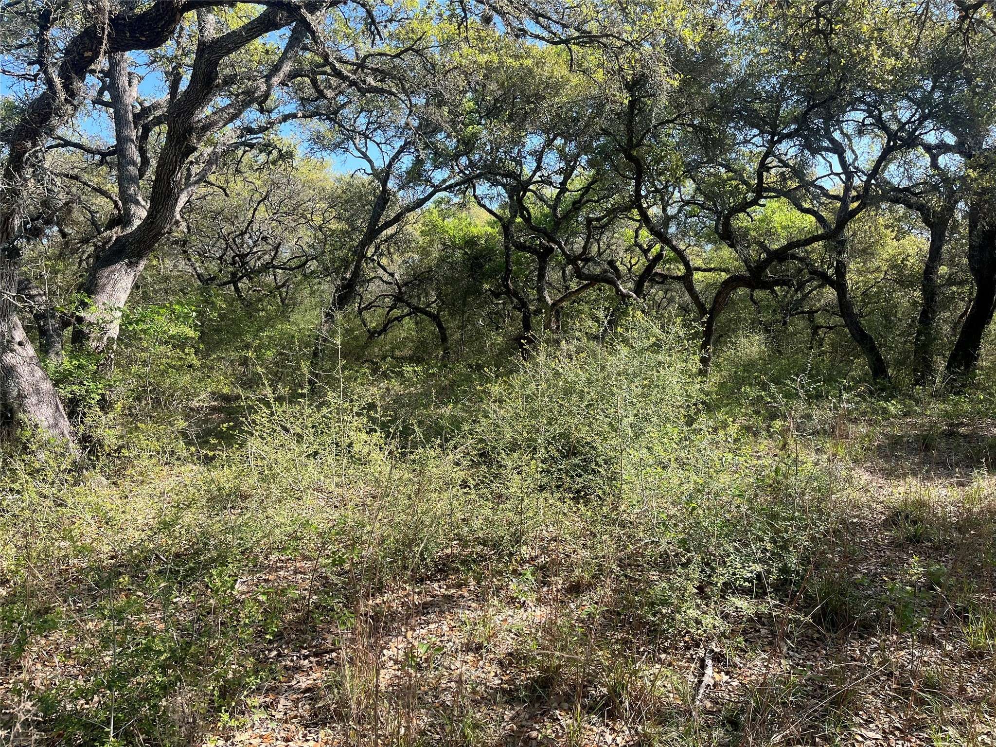 Hallettsville, TX 77964,00 County Road 120