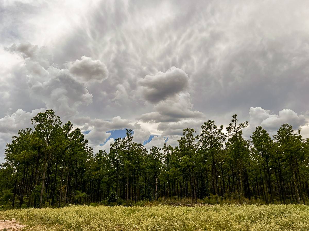 Moscow, TX 75960,0 FM 350