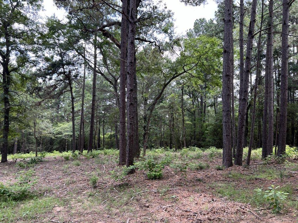 Plantersville, TX 77363,0040 County Road 302