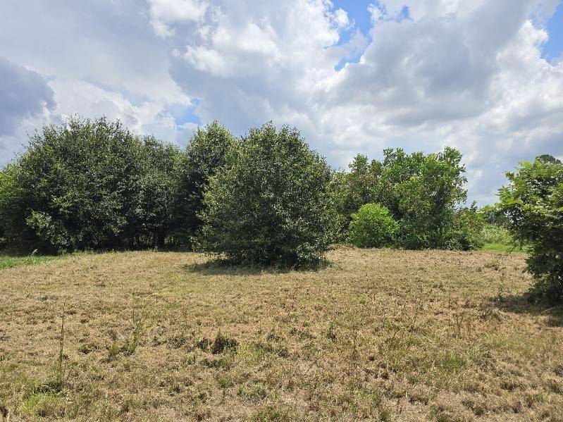 Prairie View, TX 77484,20736 Pearl ST