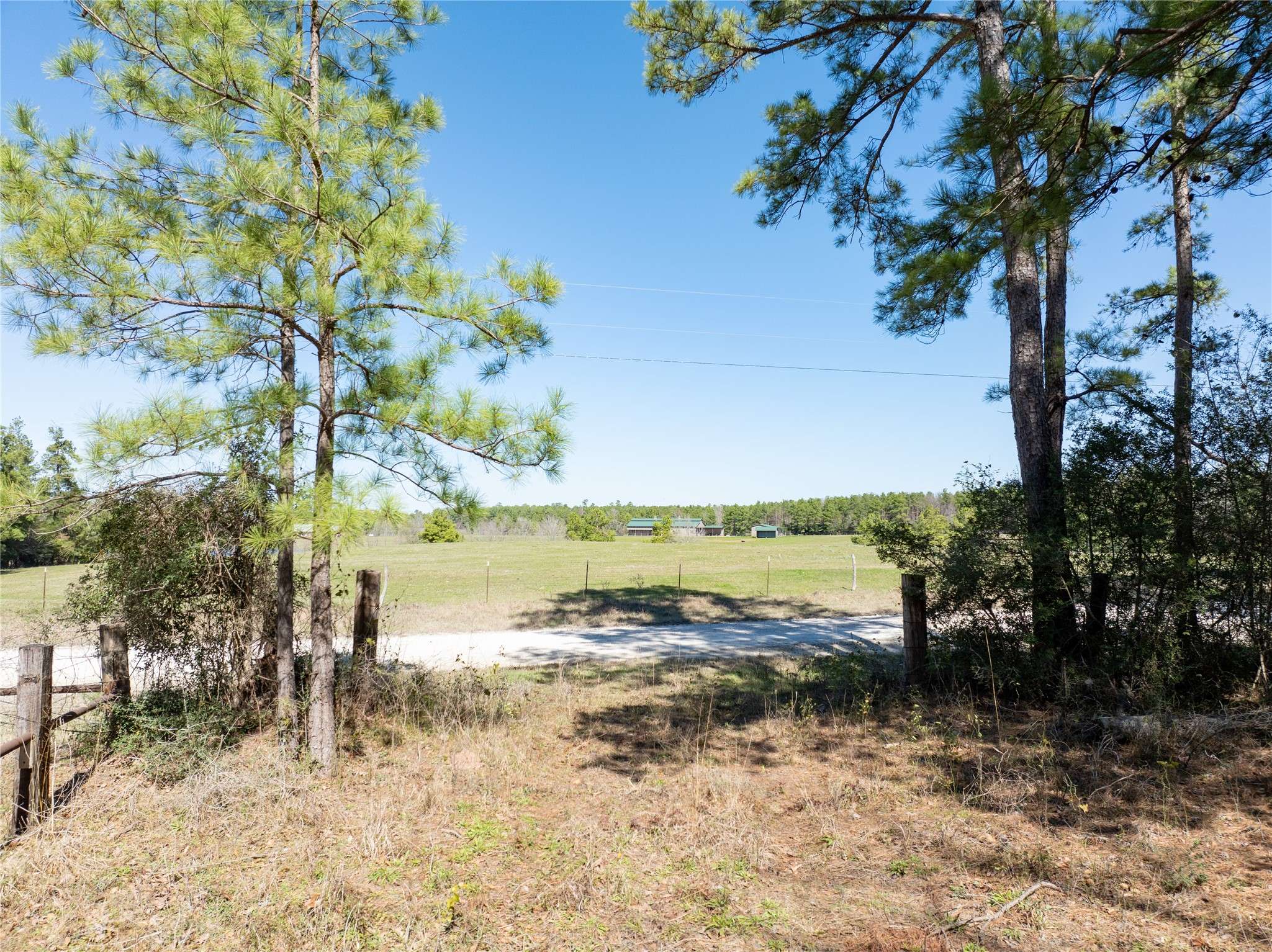 Huntsville, TX 77320,20 Acres Round Prairie Rd