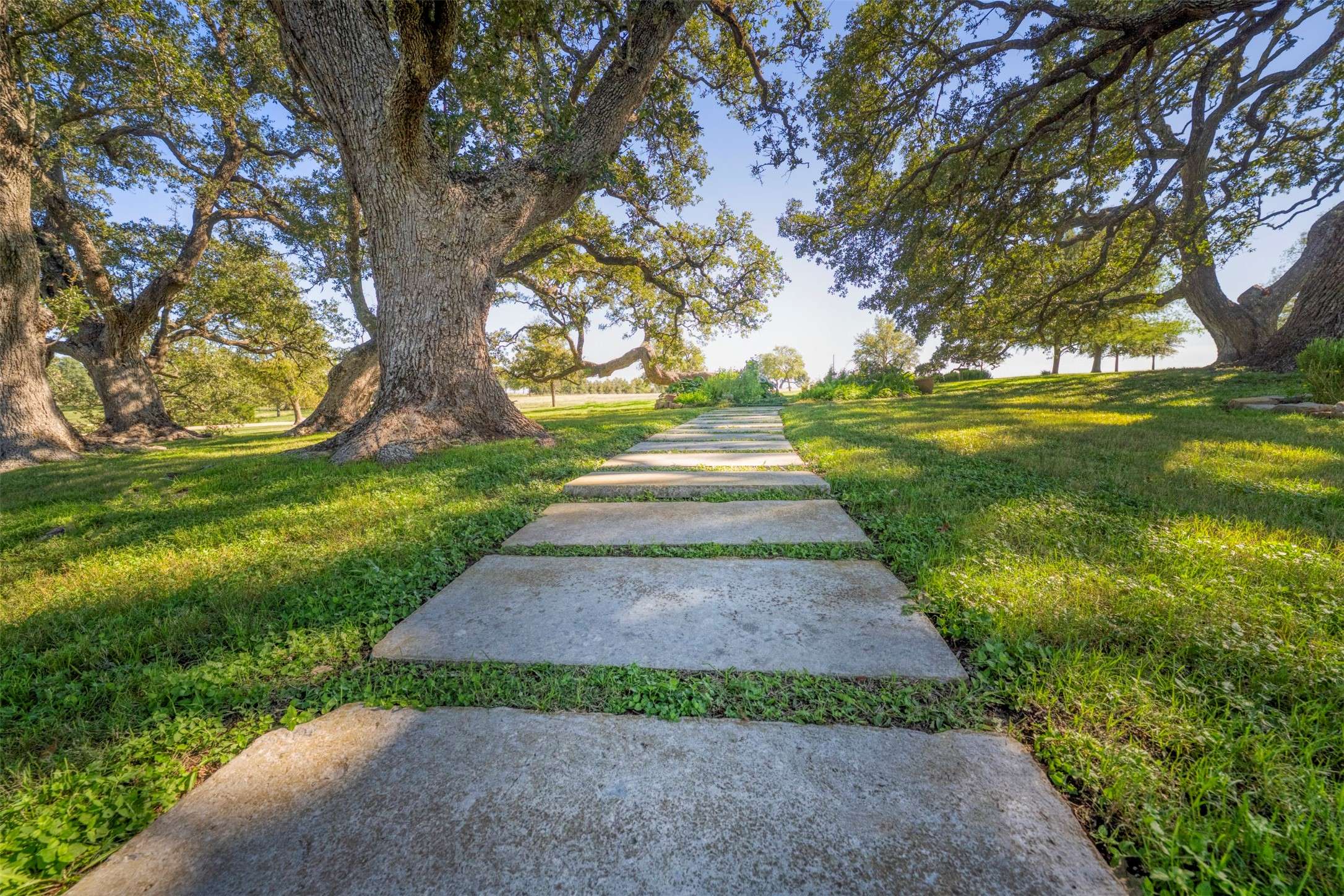 Brenham, TX 77833,10209 Seward Plantation RD