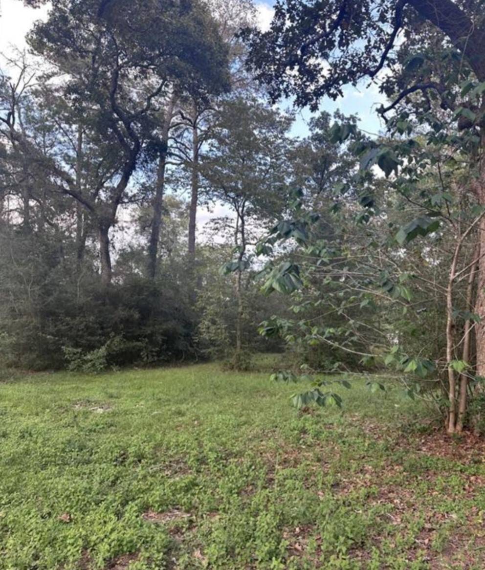 Magnolia, TX 77355,19265 Alford RD
