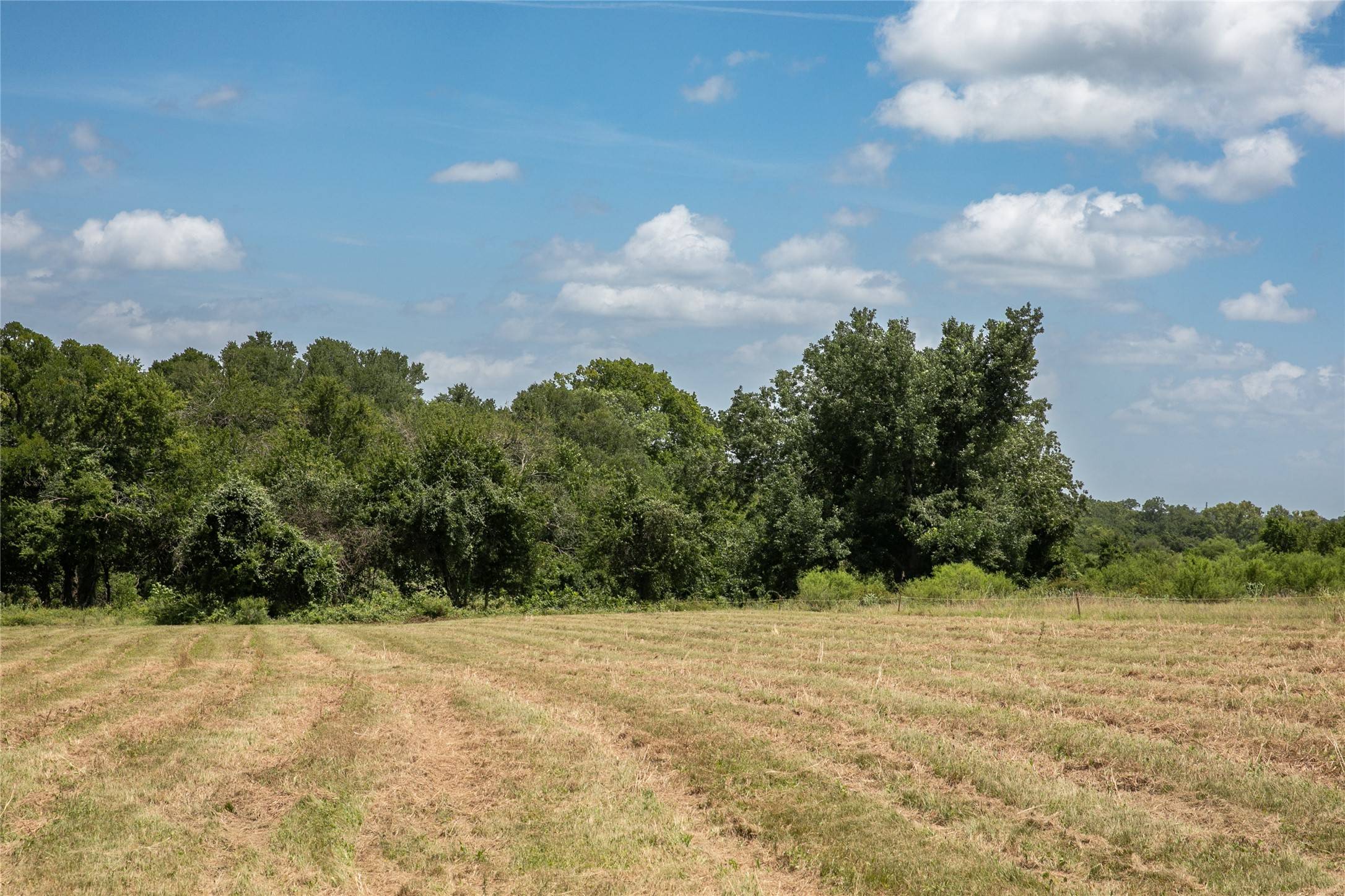 Chappell Hill, TX 77426,TBD Stern Rd