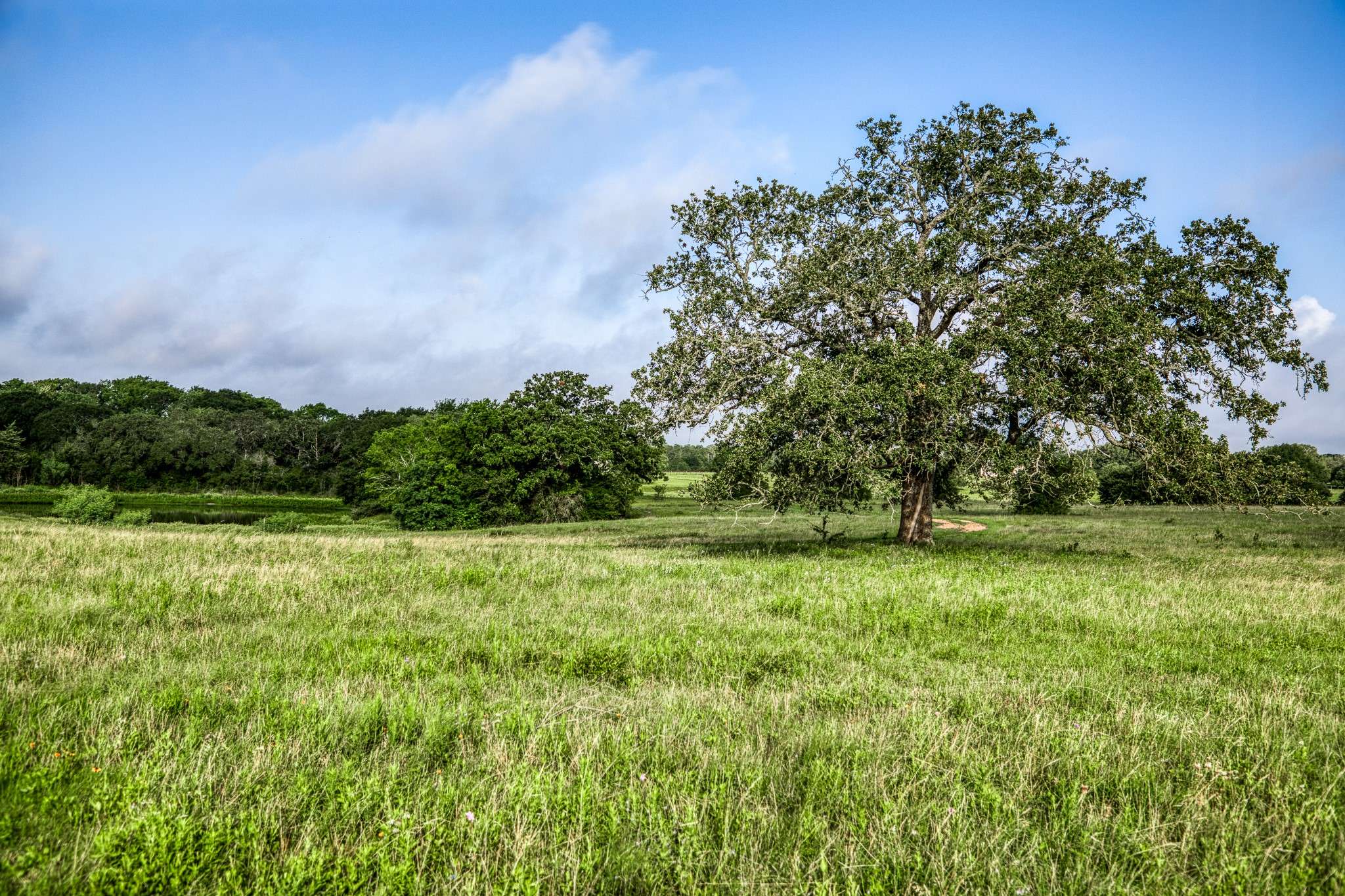 Round Top, TX 78954,Tract 5 S Nassau RD