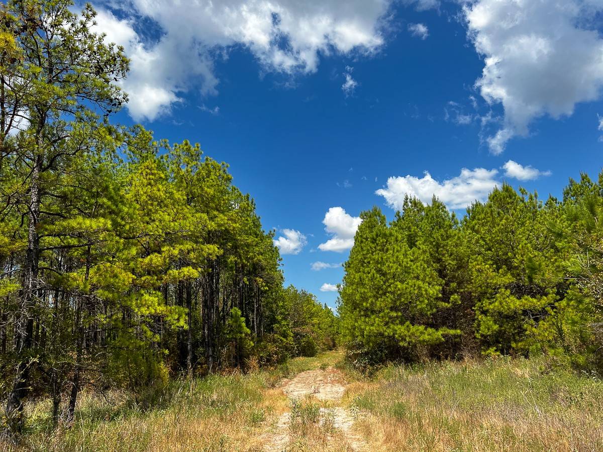 Huntsville, TX 77320,00 Off Lost Indian Camp Road