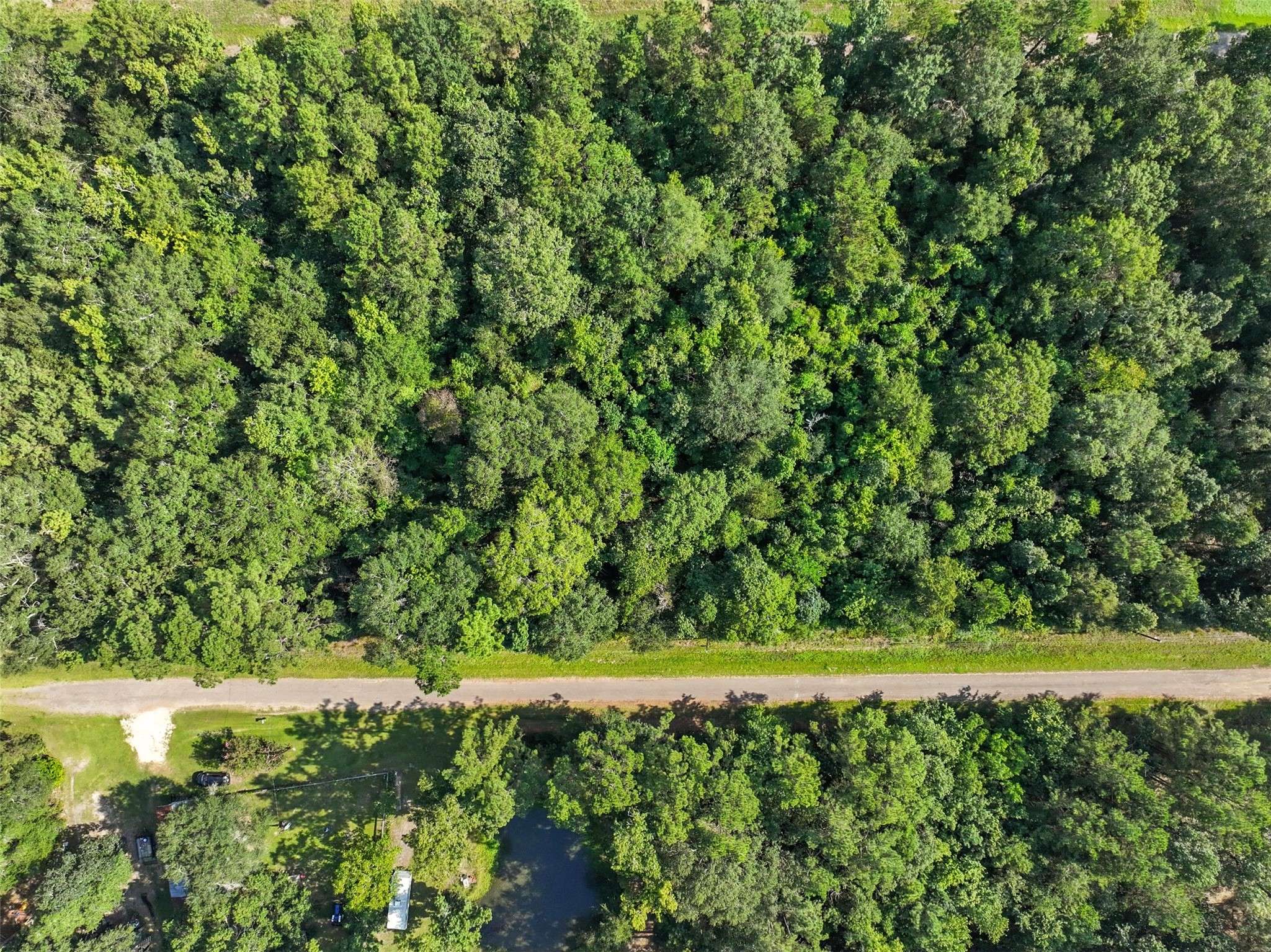 Shepherd, TX 77371,0 0 Dora LN