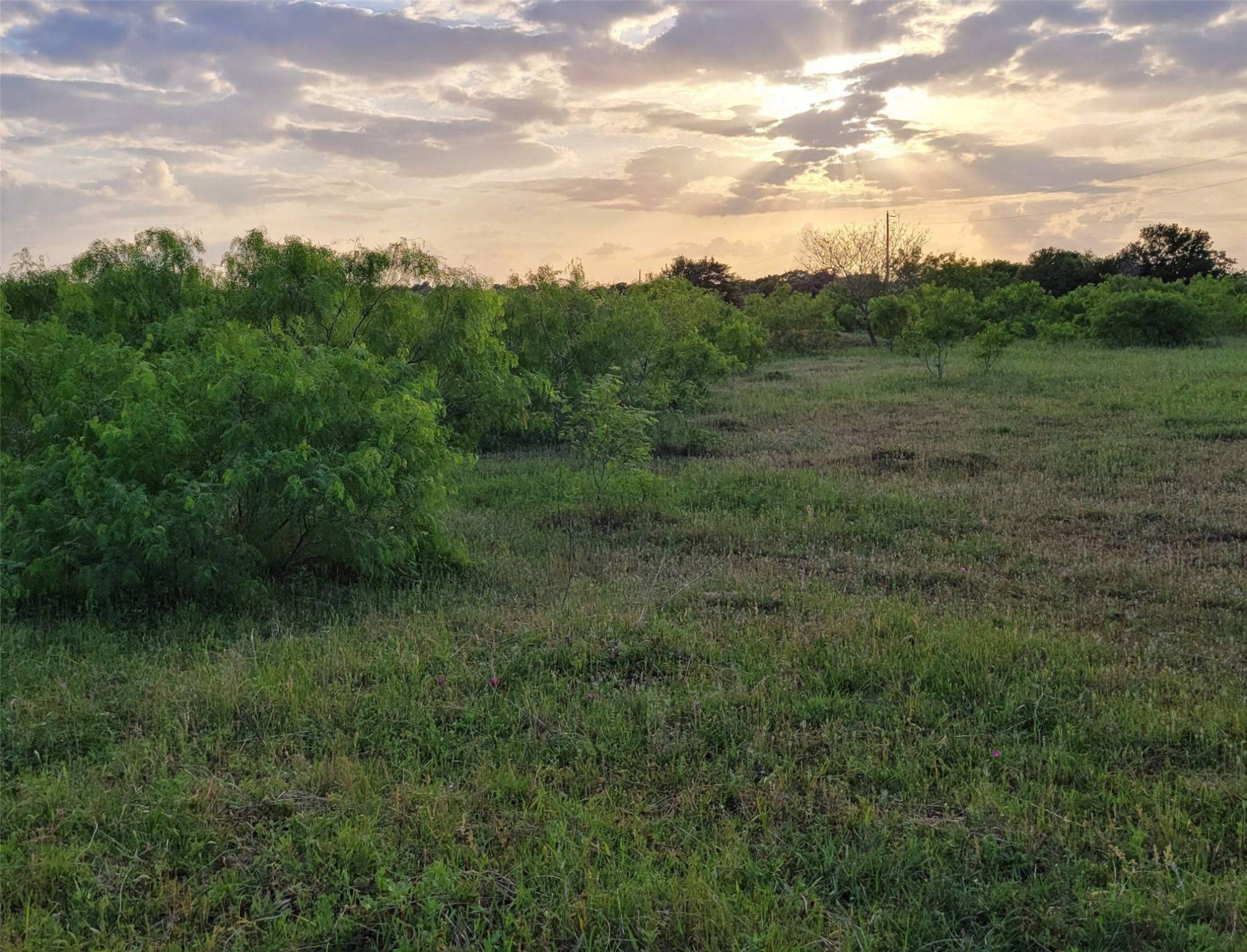 Lexington, TX 78947,1260,1274,1284 &1296 Private Road 7037