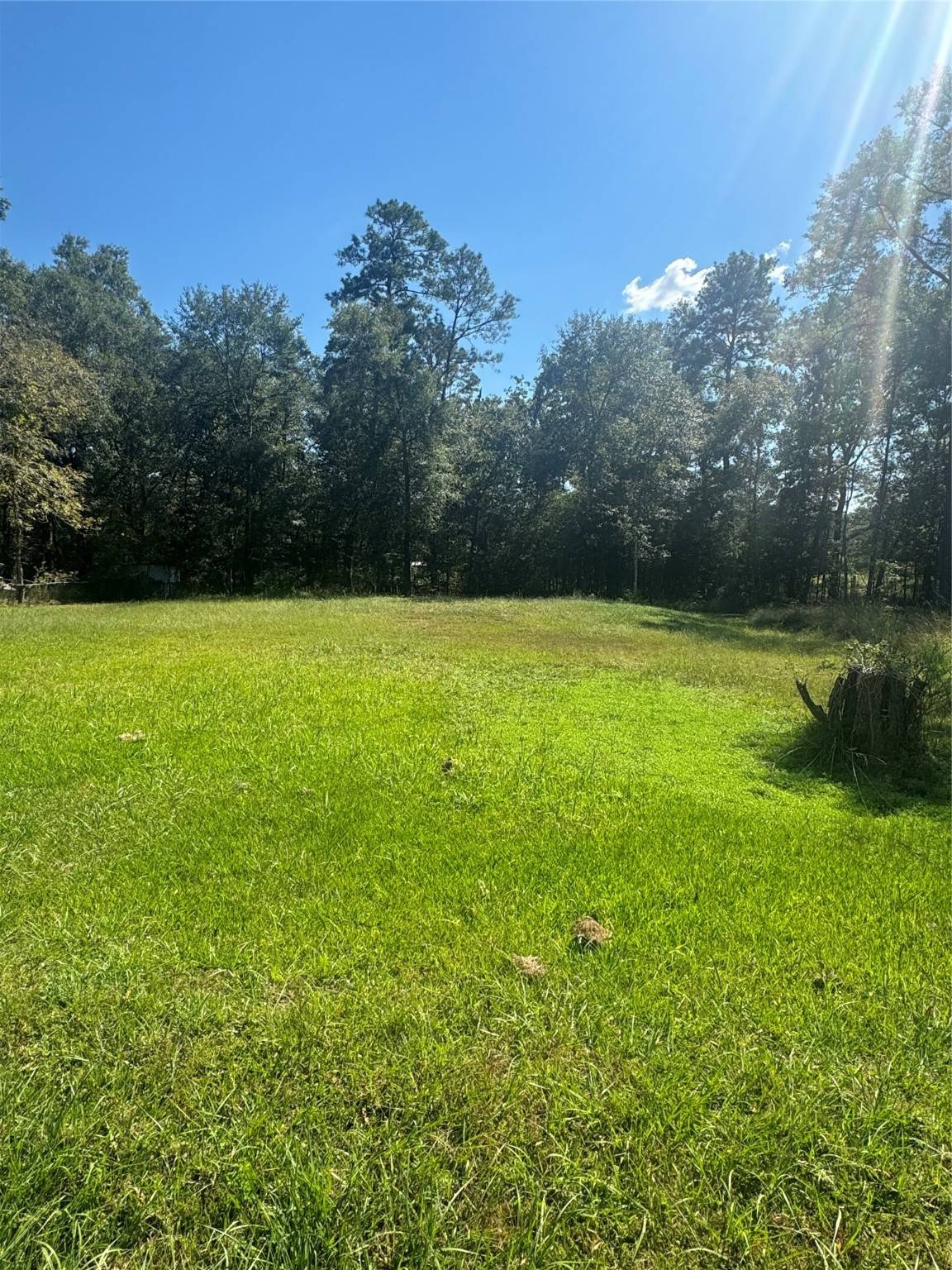 Willis, TX 77378,TBD Lot 17, 18 Frontier Rd