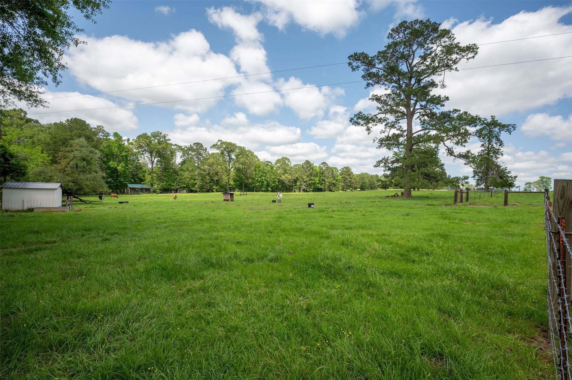Woodville, TX 75979,1893 County Road 4250