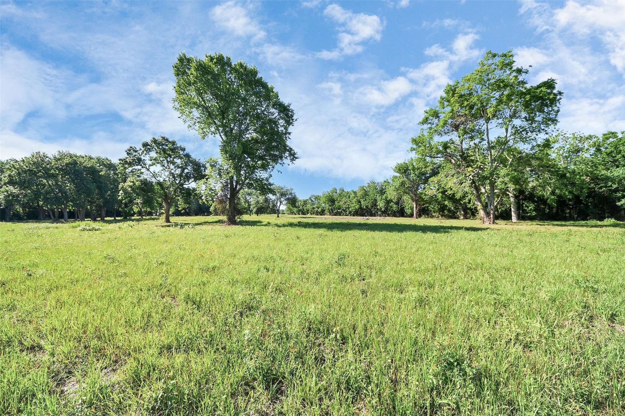 Manvel, TX 77578,0 Patterson RD