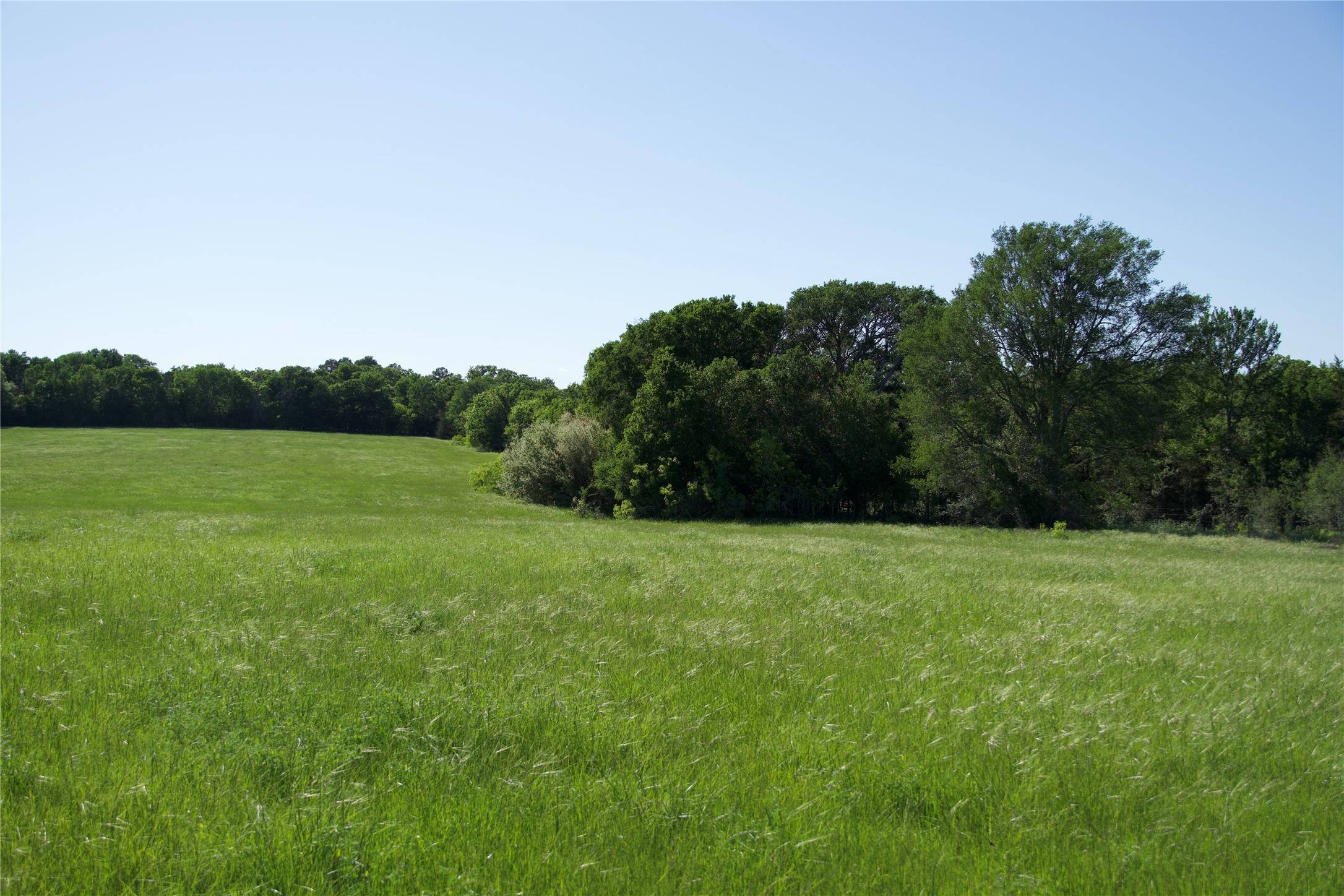 Paige, TX 78659,TBD Saint Delight -Tract 3
