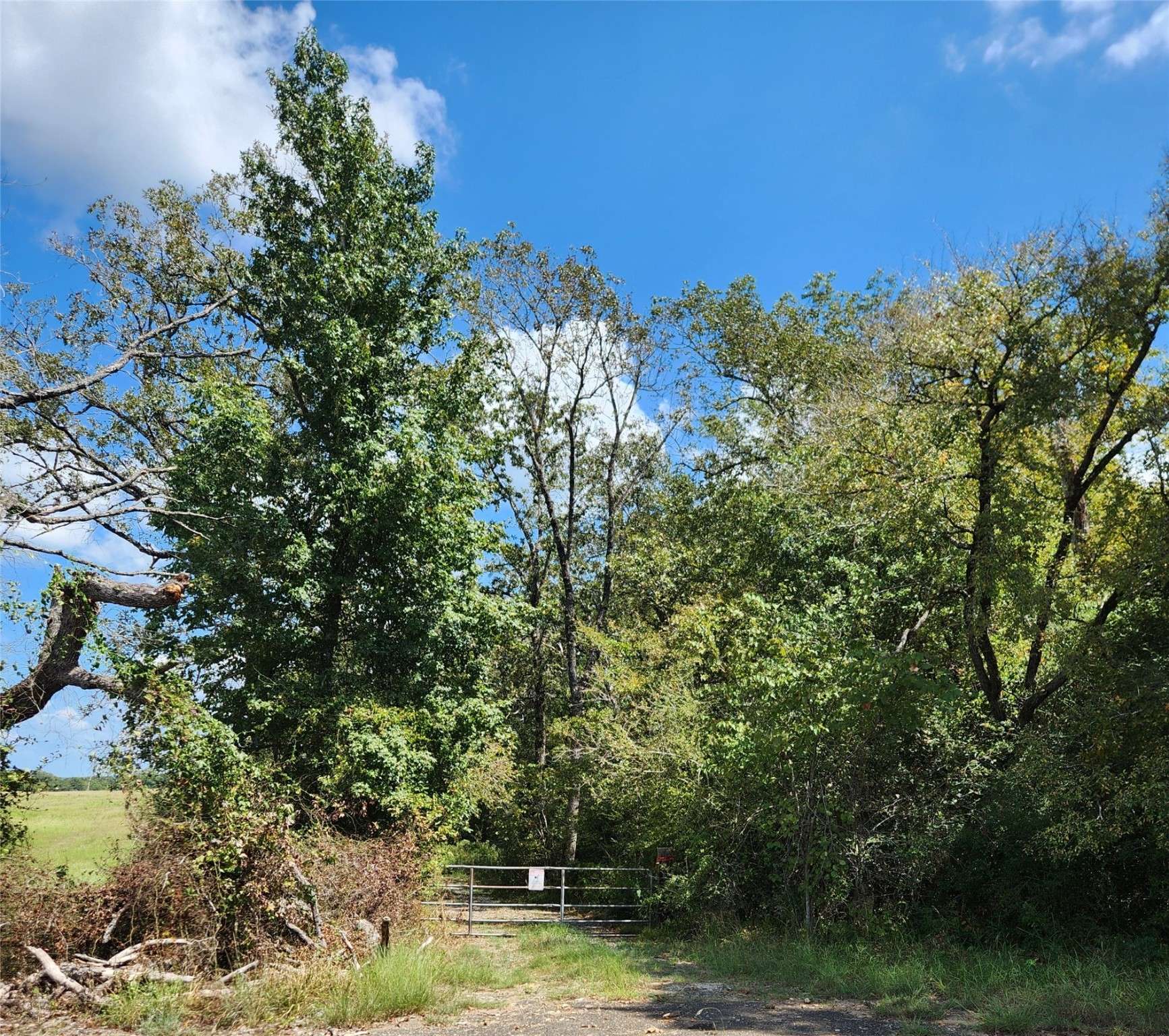 Oakwood, TX 75855,17454 FM 542