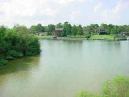 Webster, TX 77058,18617 Egret Bay BLVD #303