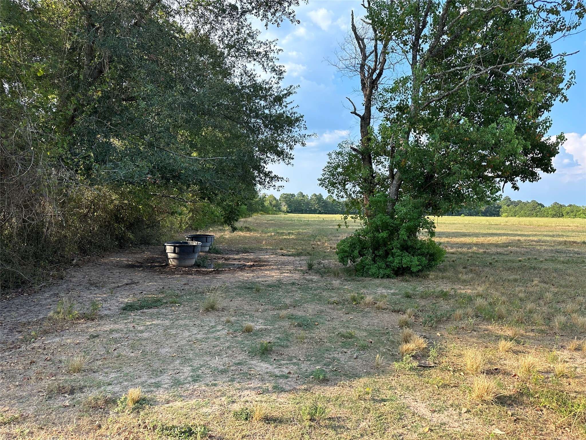 Cleveland, TX 77327,TBD Hwy 105 County Road 2266