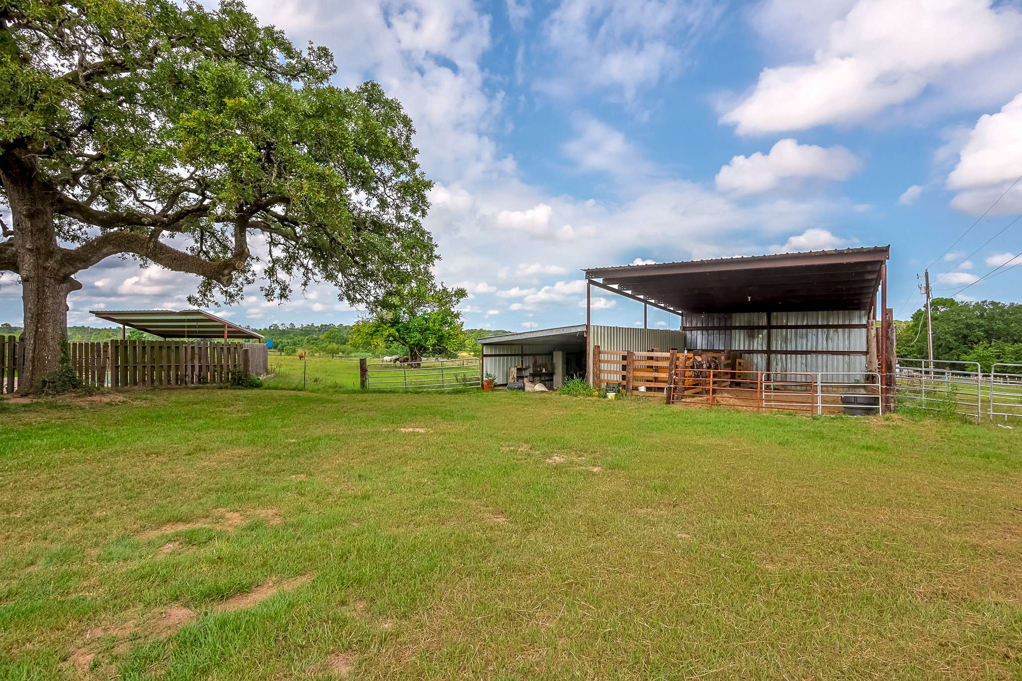 Plantersville, TX 77363,10854 County Road 203