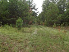 Livingston, TX 77351,948 Fm 3277
