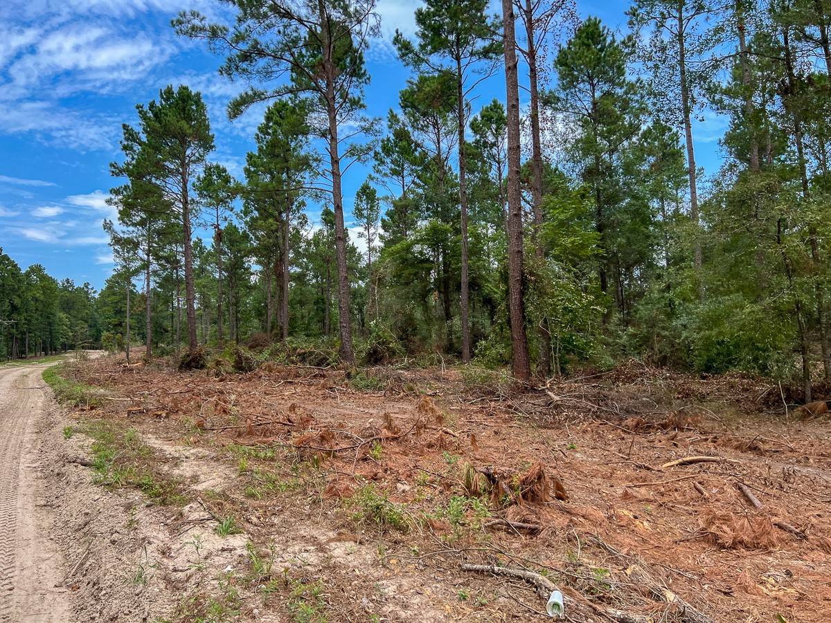 Groveton, TX 75845,22 Boontown Road