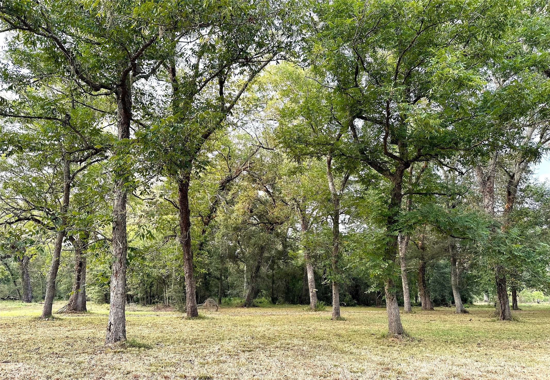 Angleton, TX 77515,201 County Road 845