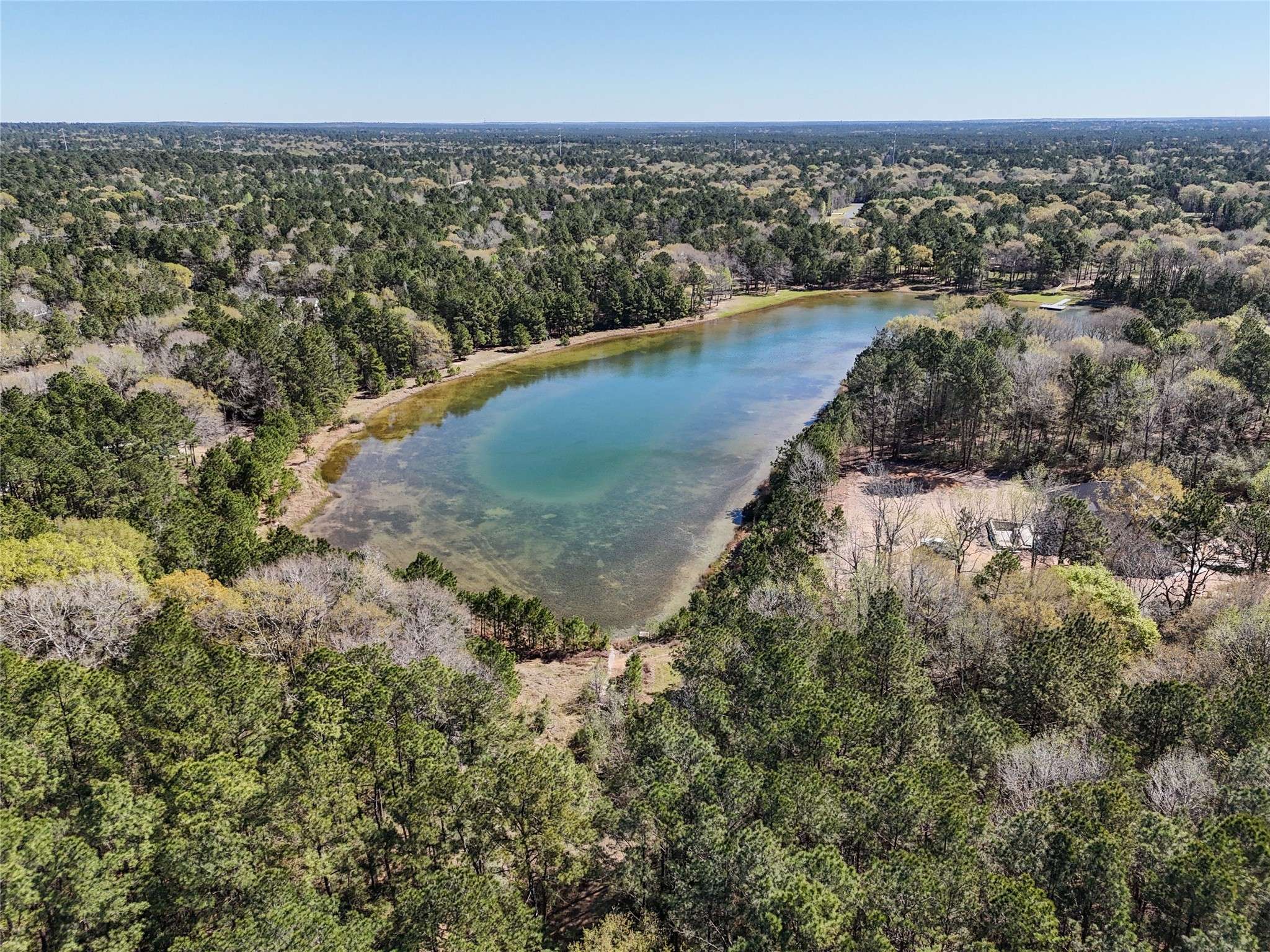Waller, TX 77484,29920 Bareback LN