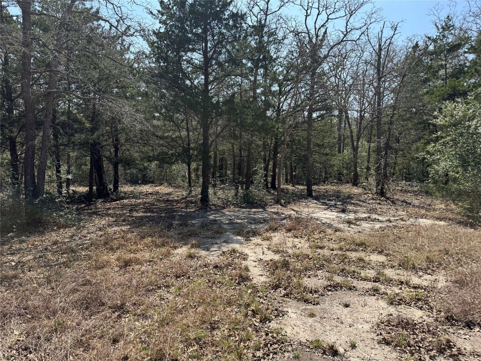 Somerville, TX 77879,232 Wooded TRL
